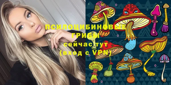 твердый Покровск