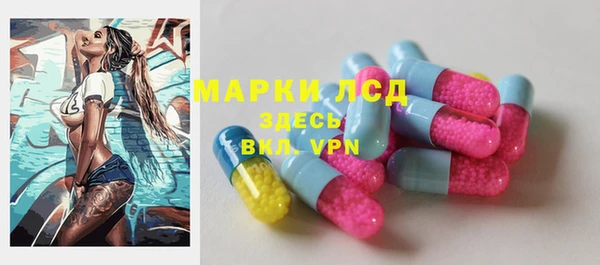крисы Покачи