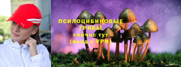 твердый Покров