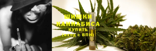крисы Покачи