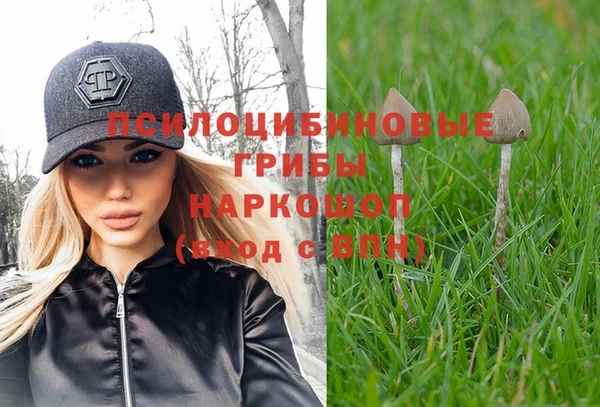твердый Покровск